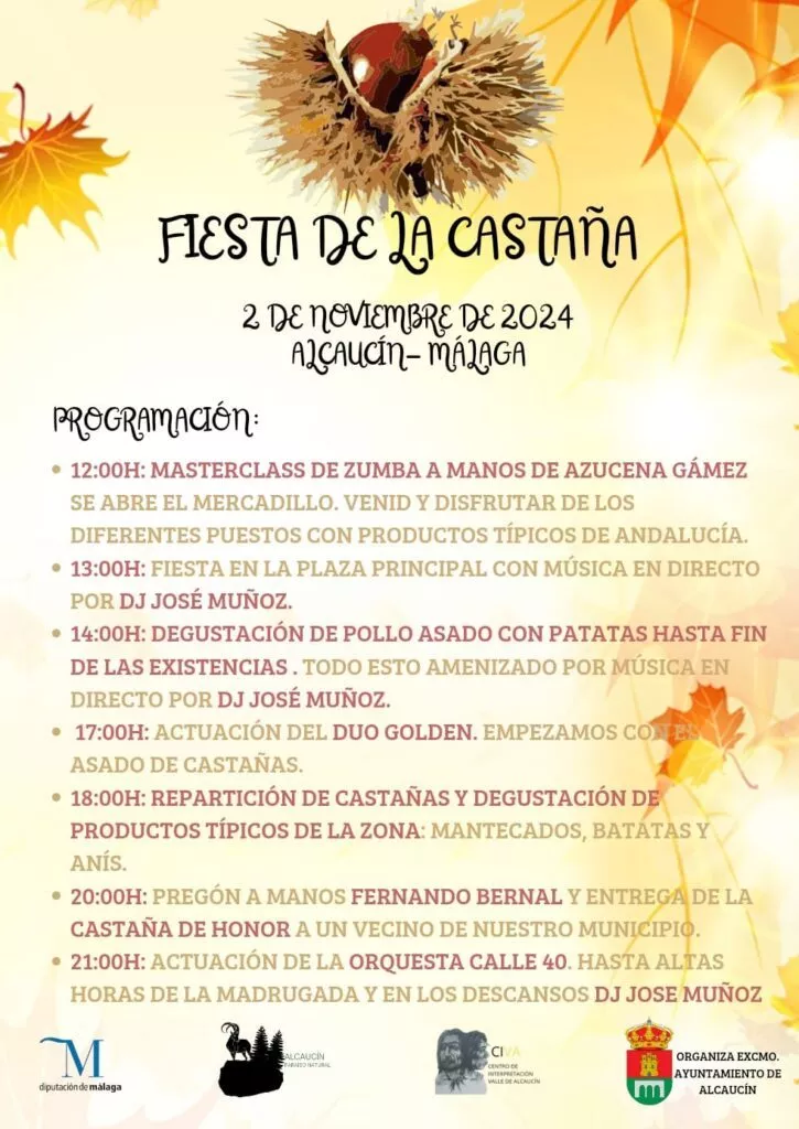 alcaucin fiesta chestnut 2024