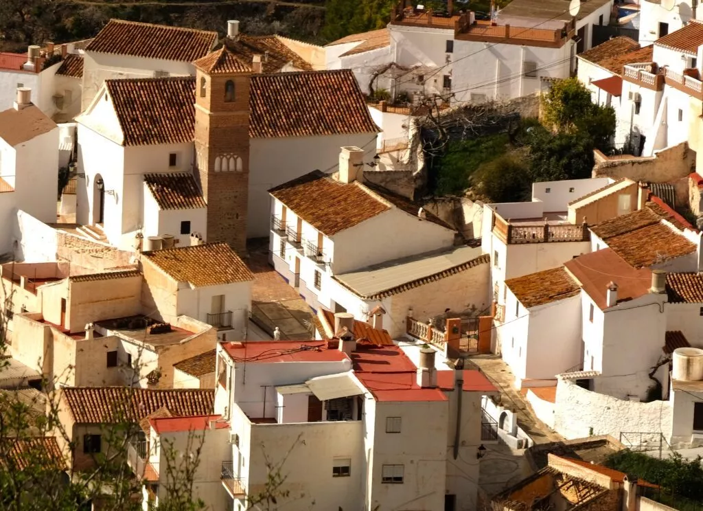 almond blossom tour andalucia nerja