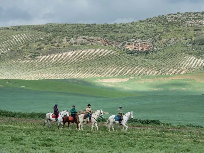 horse riding holidays in andalucia spain