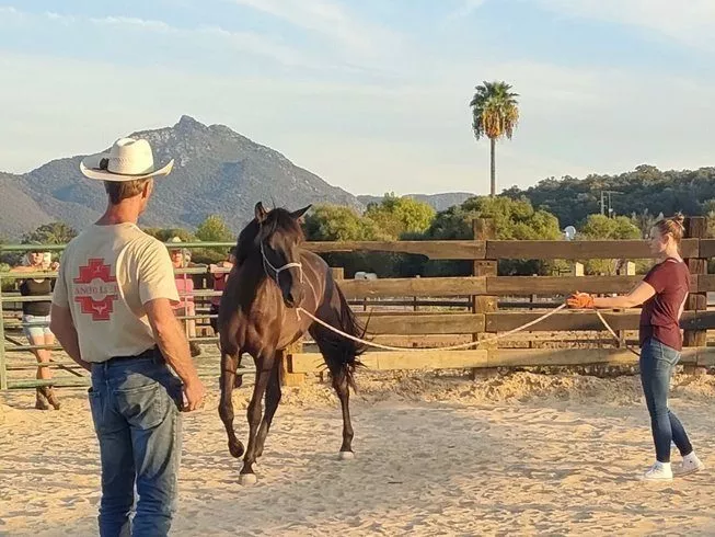 southern spain ranch holidays and horses