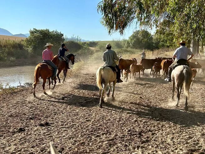 southern spain ranch holidays with horses