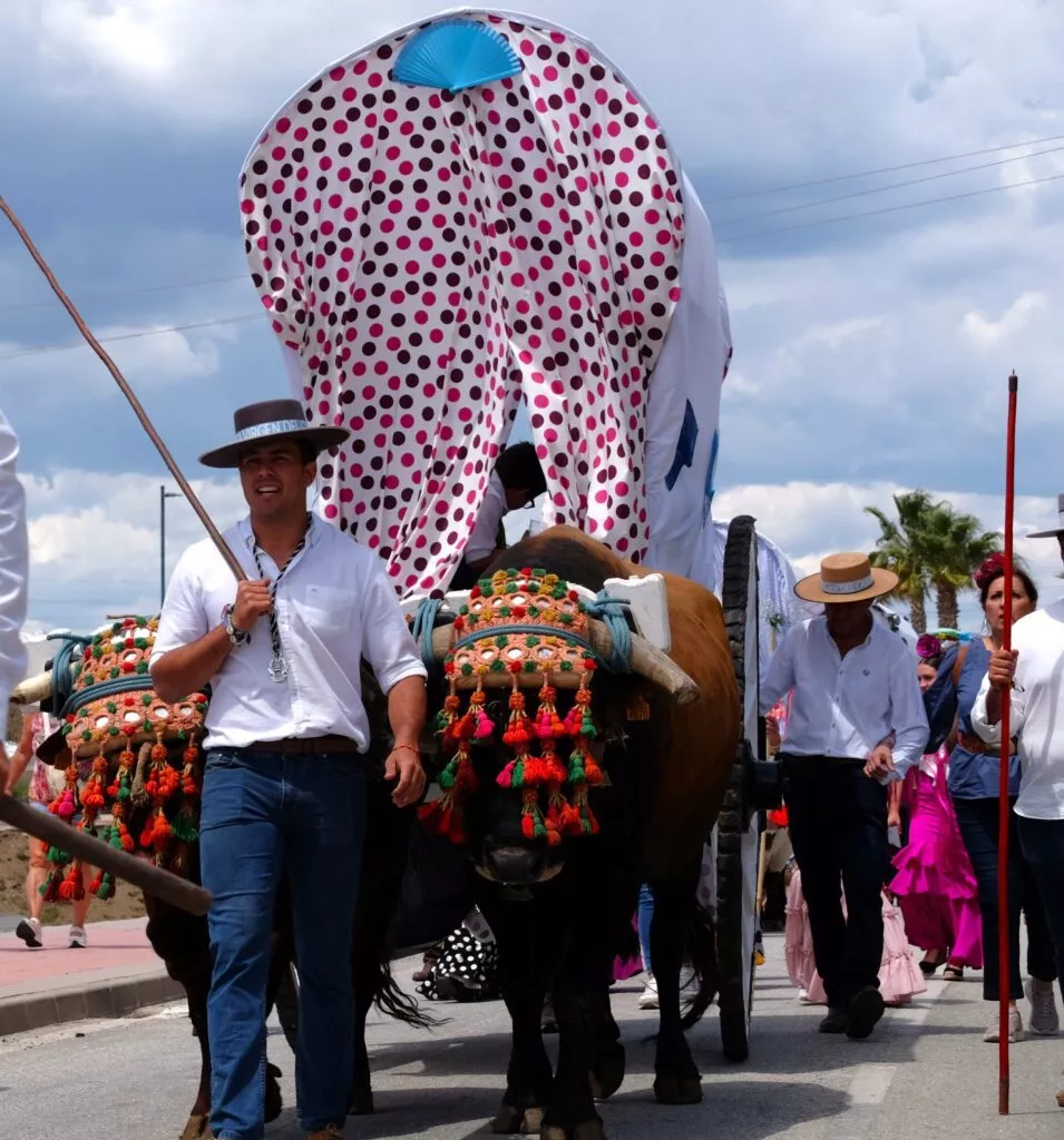 Torre del Mar romeria virgen del carmen 2