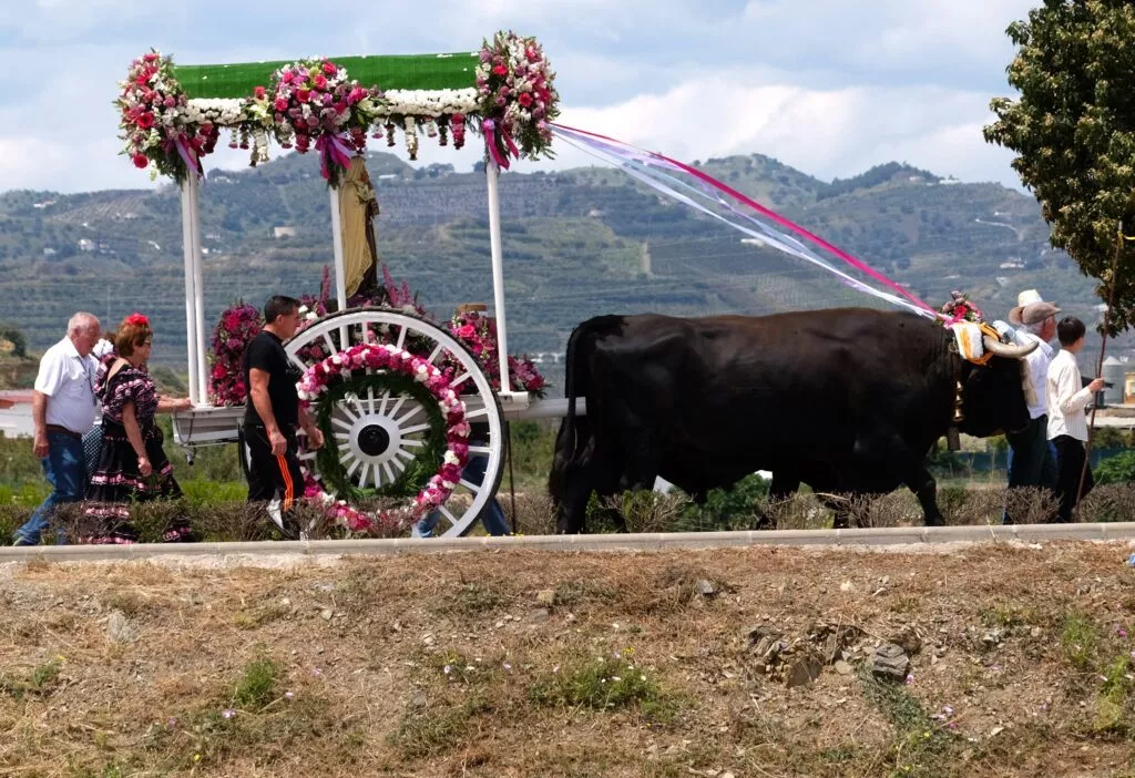 Torre del Mar romeria virgen del carmen 9