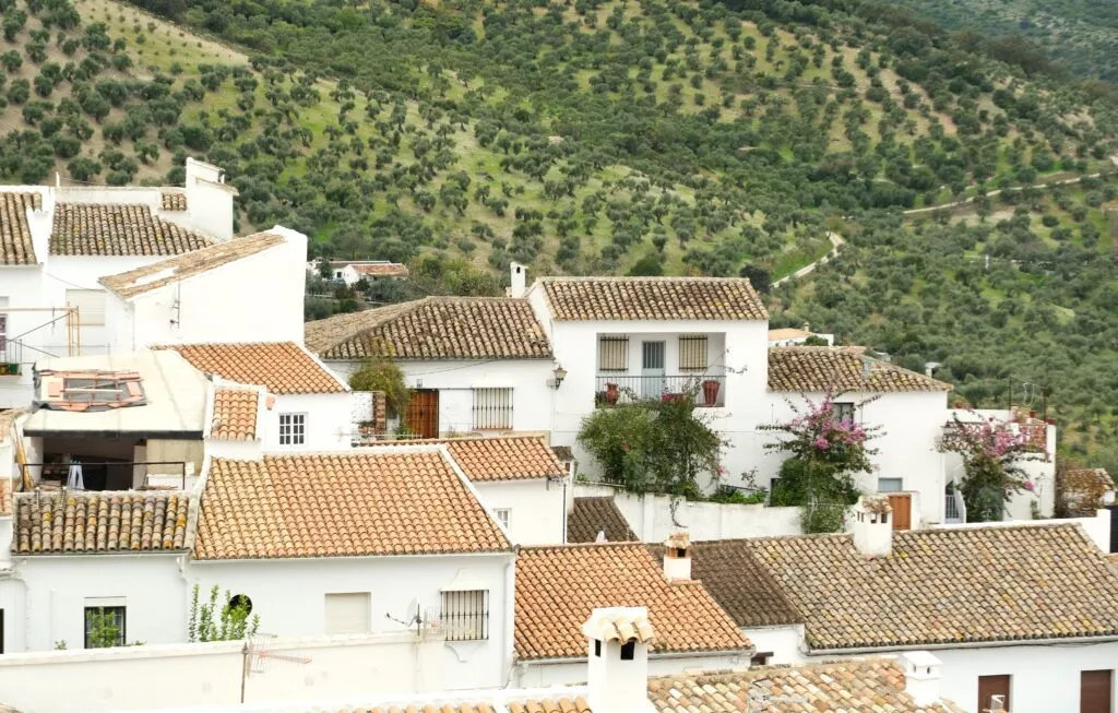 que voir a zahara de la sierra mirador avec paysage de champs d'oliviers