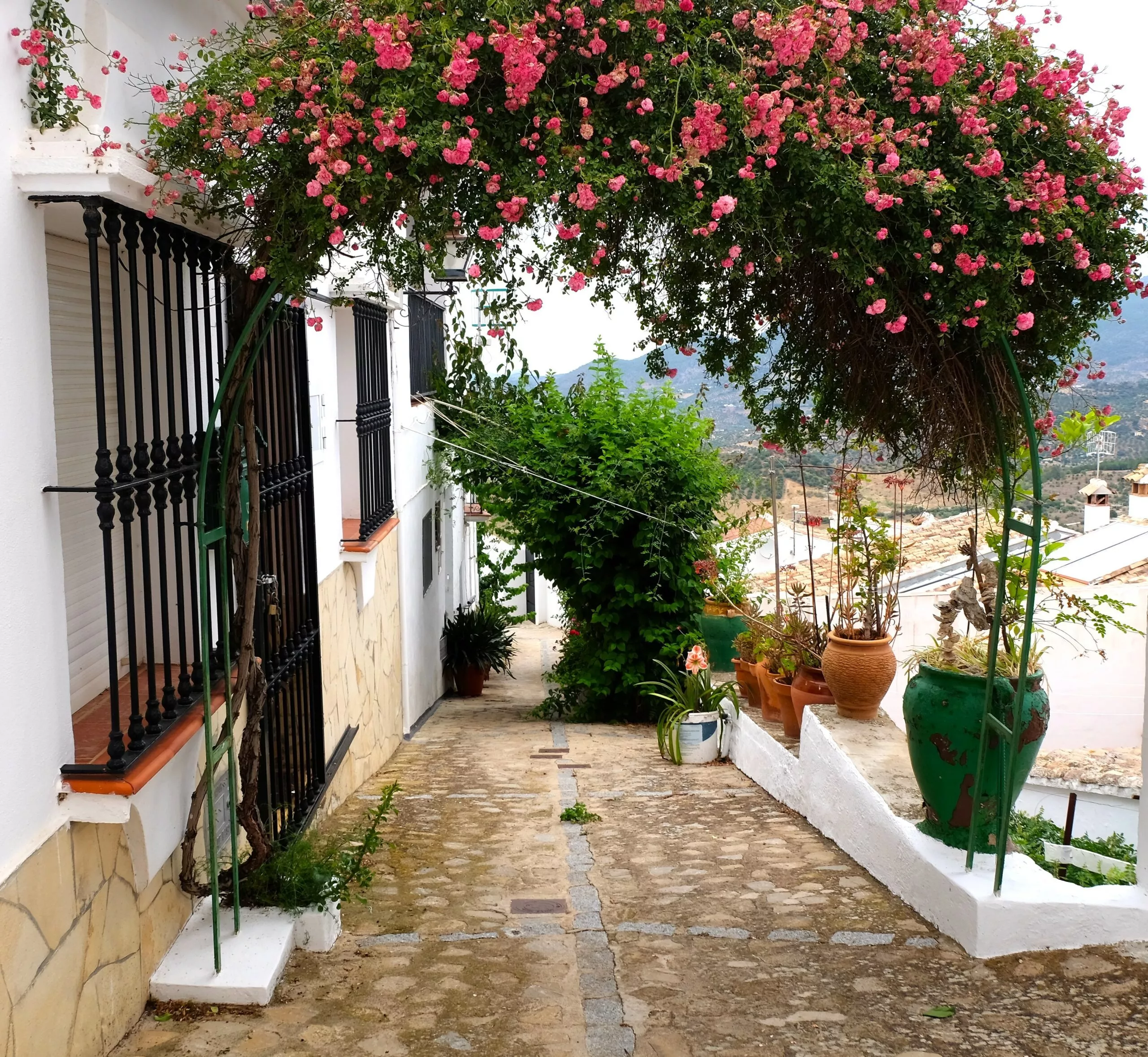 zahara-de-la-sierra-tour-narrow-street-with-flowers