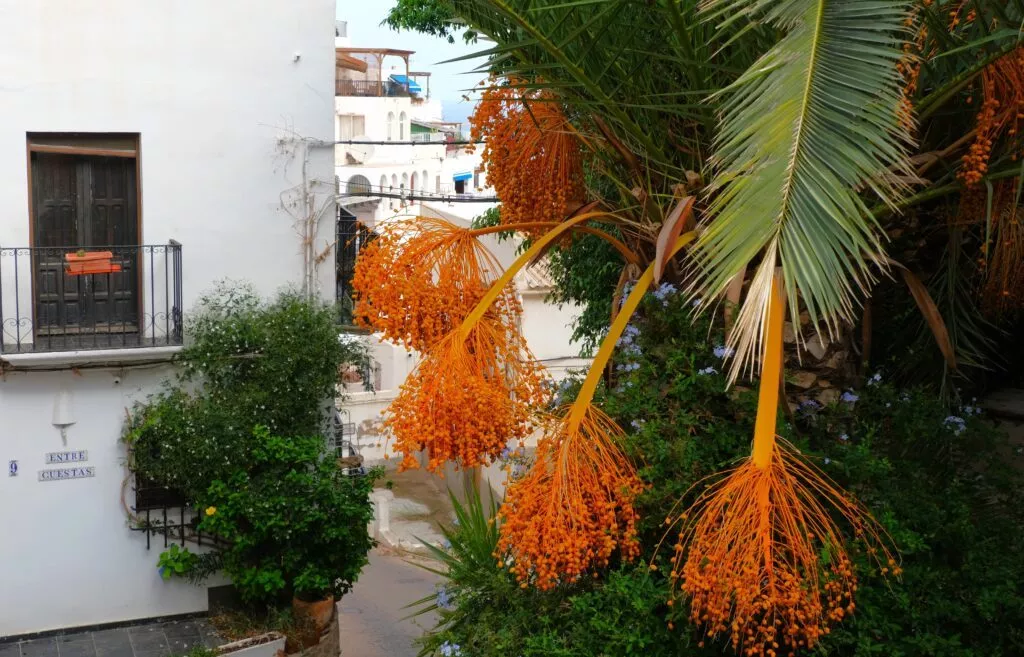 que voir a mojacar le quartier de l'arrabal