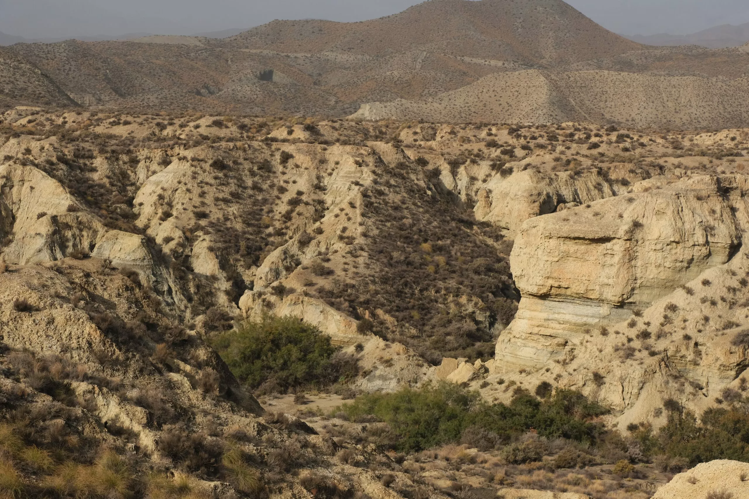 Désert de Tabernas : Top 10 des activités et sites à voir et à faire