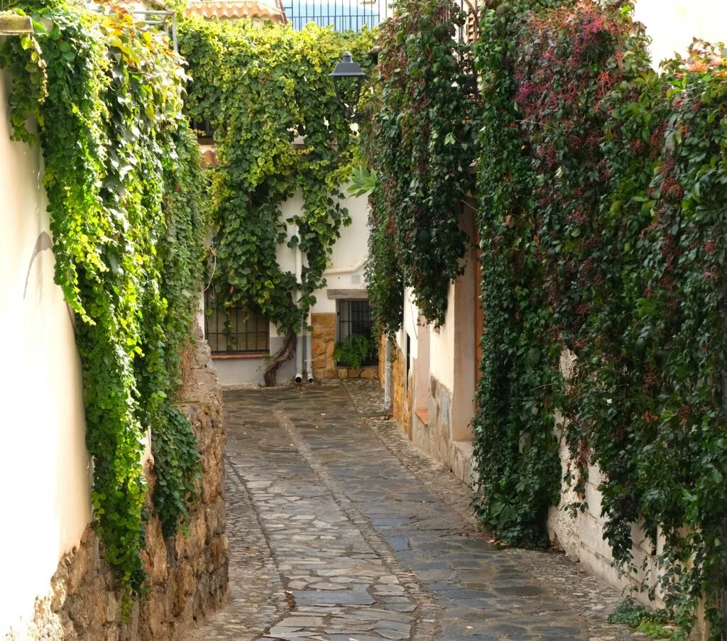 almocita que ver pueblo alpujarra almeriense calle del pueblo