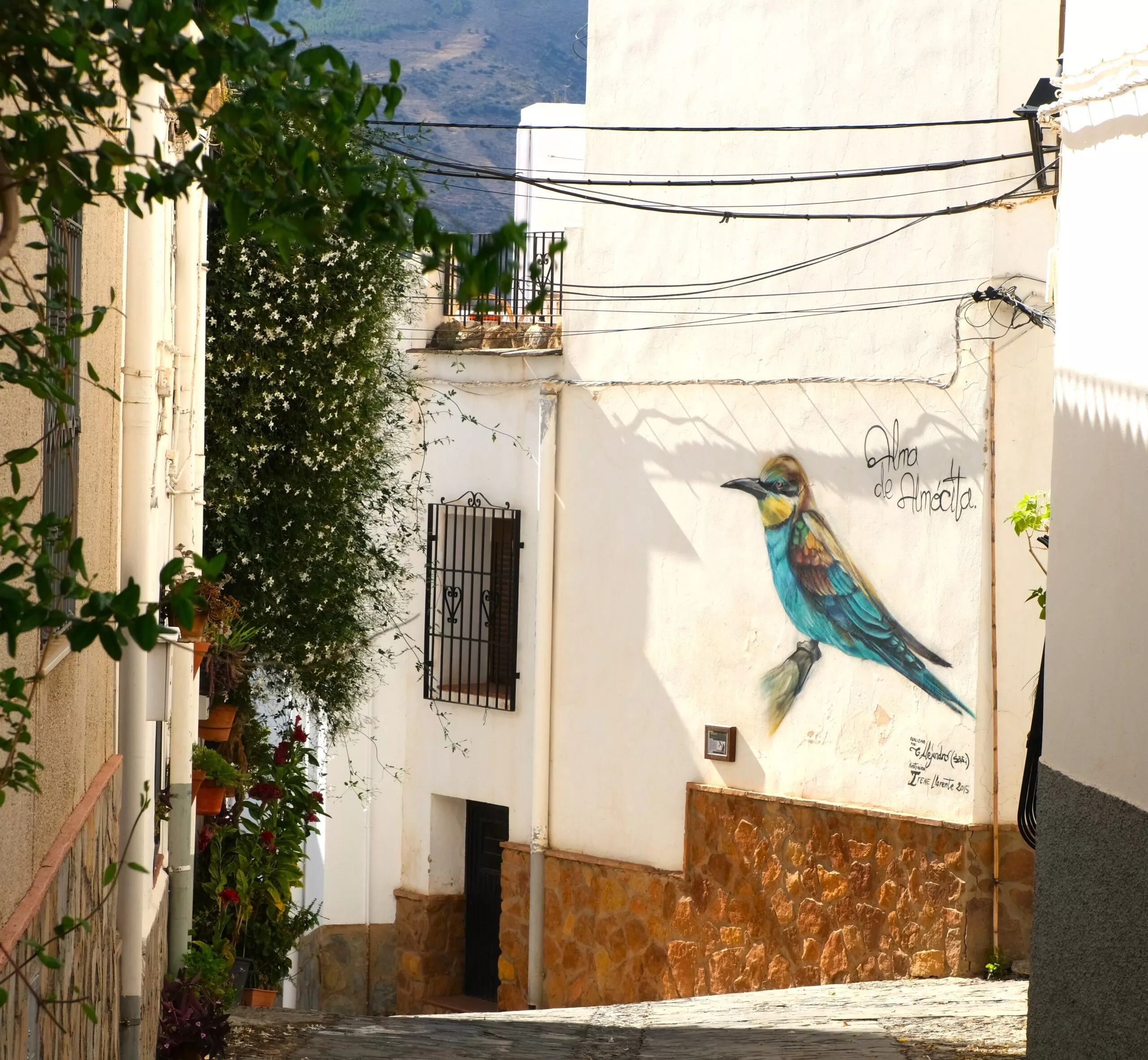 Que voir à Almocita dans l’Alpujarra almeriense