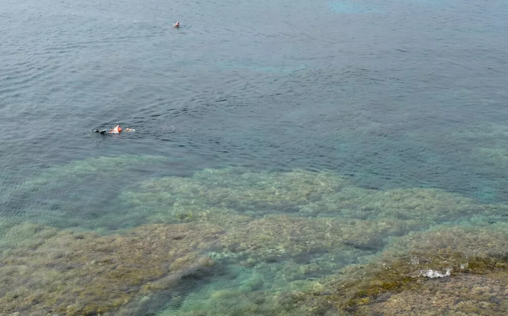 isleta del moro things to do snorkeling