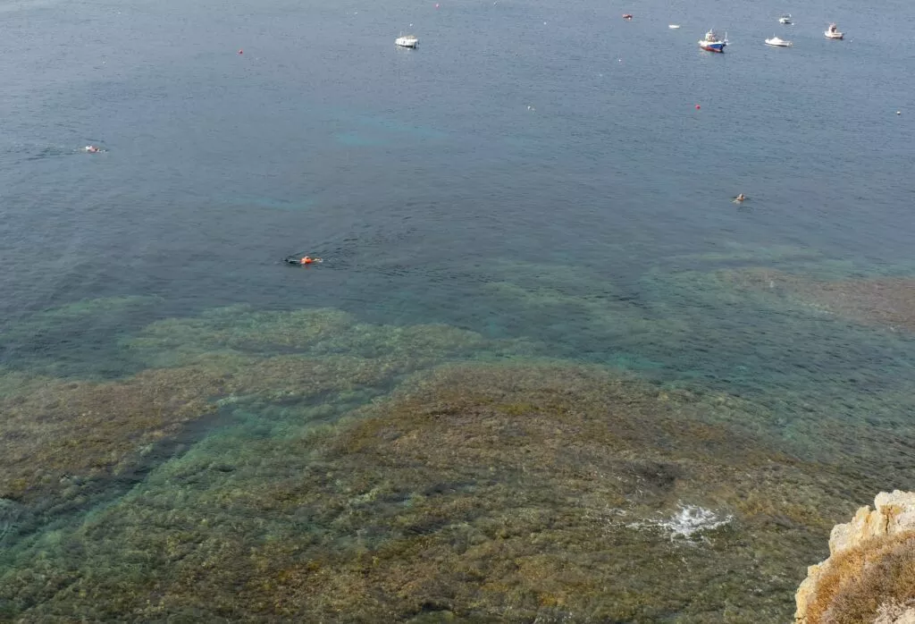 isleta del moro thins to do diving