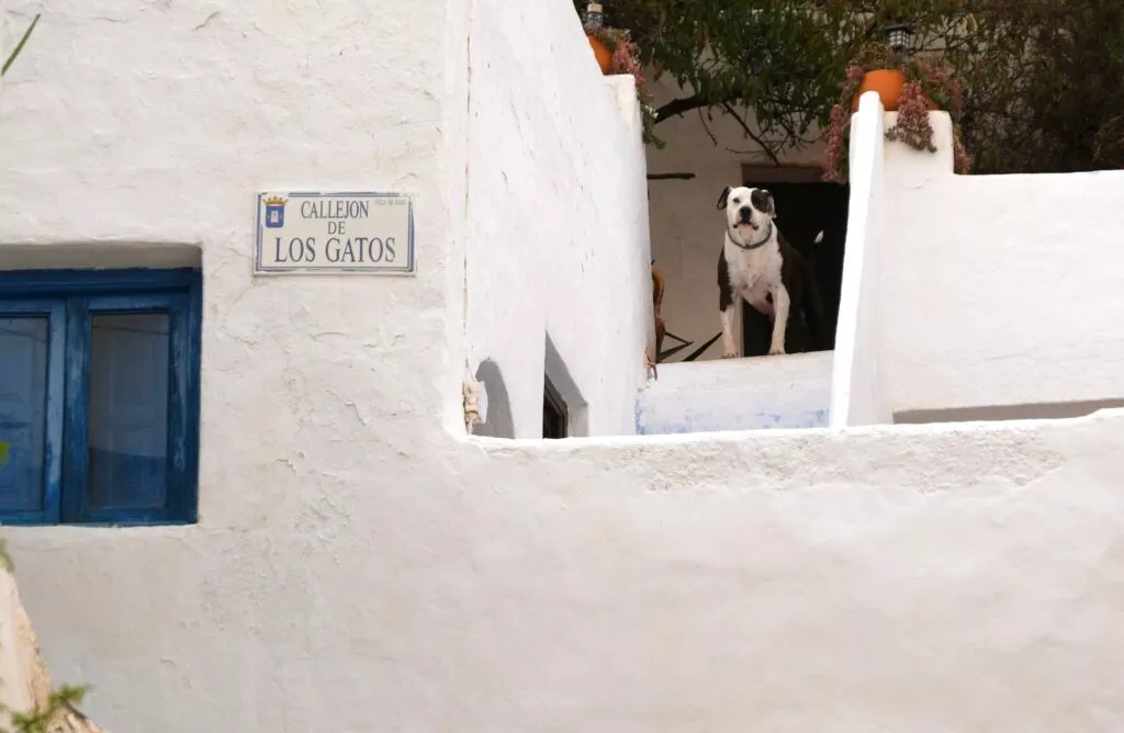 nijar cosa vedere quartiere atalaya