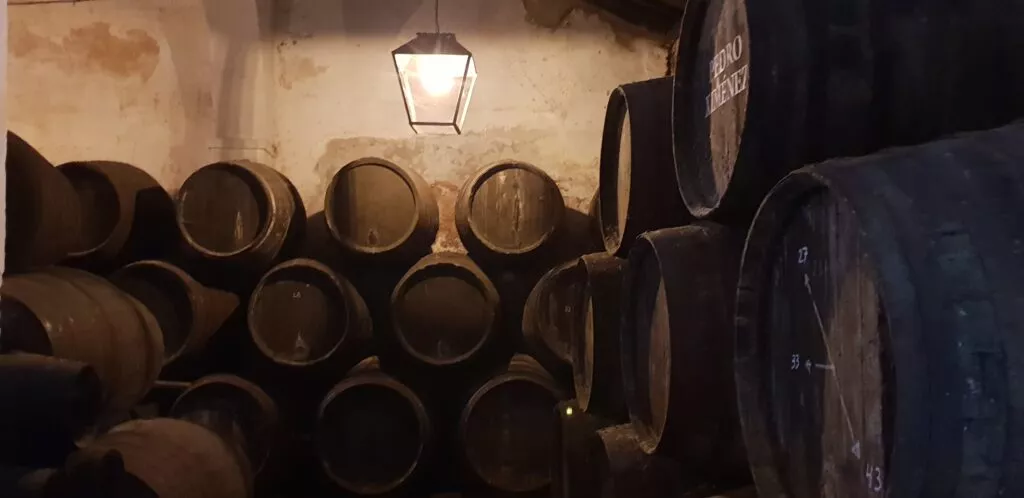 visit a winery in sanlucar de barrameda