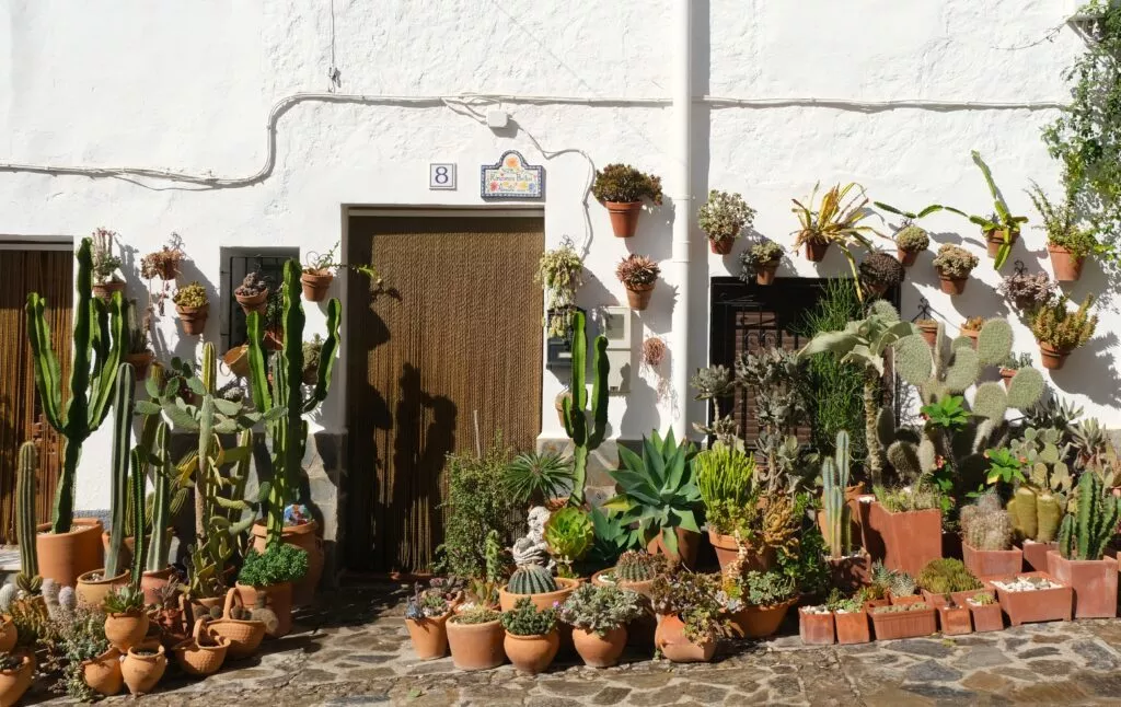 what to see in almocita los polos square with lovely house