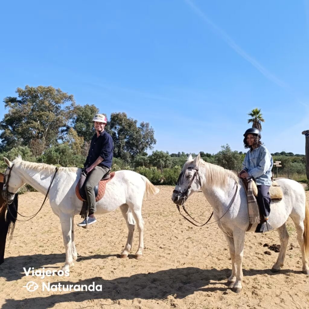 seville outdoor activities horse riding in donana park