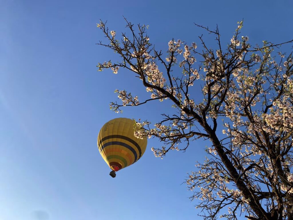 seville outdoor activities hot air balloon flight over seville