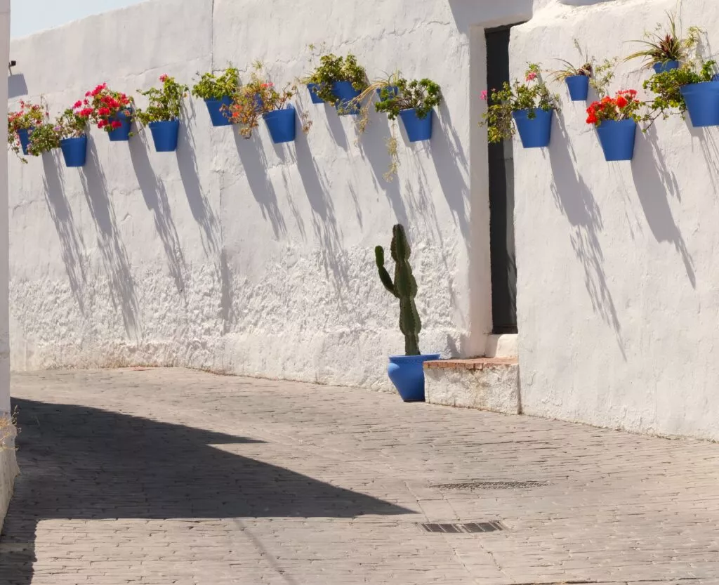 carratraca paseo pour una calle llena de macetas