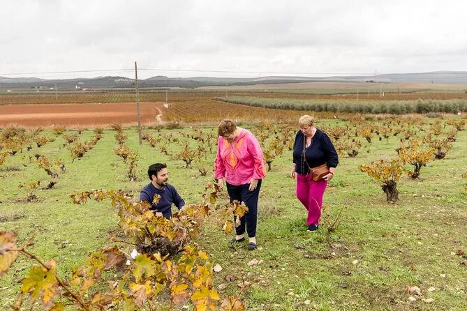 wine tour from malaga