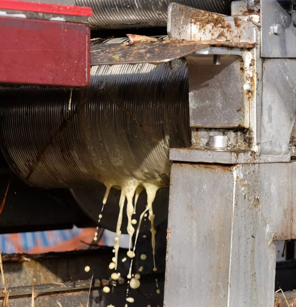 sugar cane visit a rum factory ron el mondero the milling